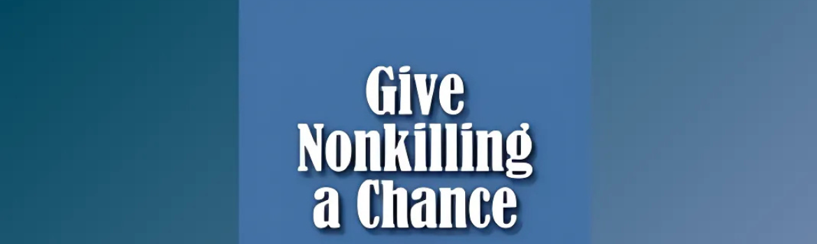 Global Nonkilling World Order